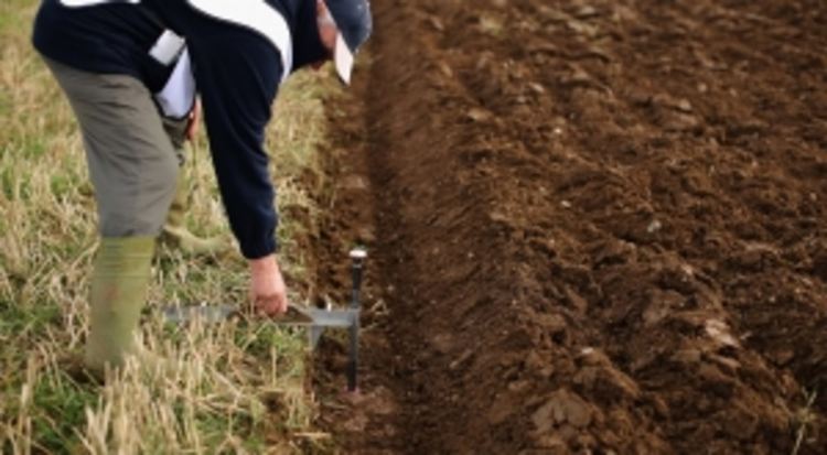 Над 12 млн. лева тръгват към земеделците в Смолянско