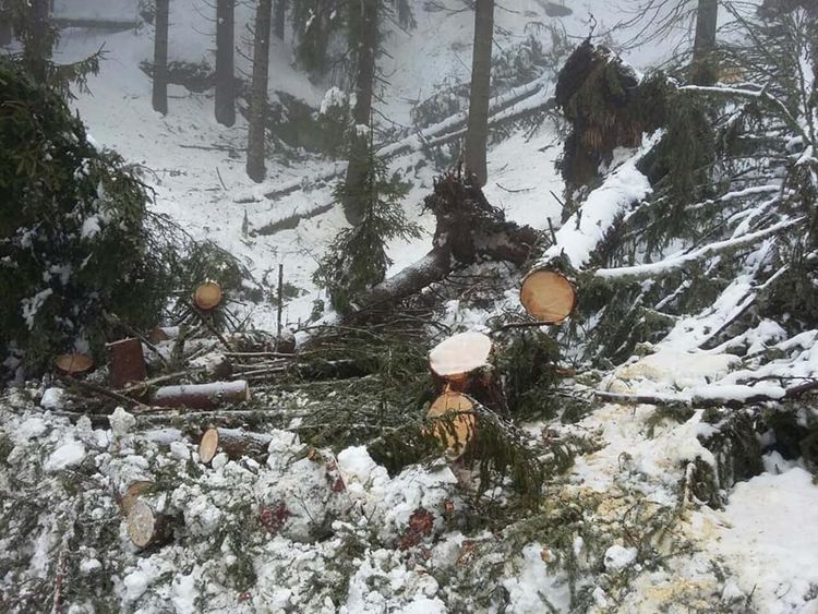 65-годишен от Бръщен падна по стръмен скат, спасиха го пожарникари