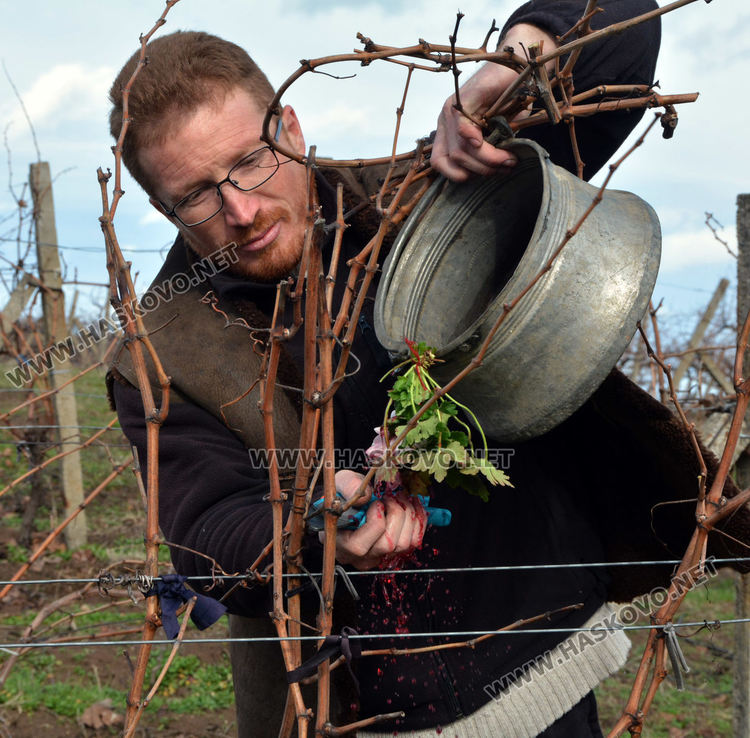 Яни от „Фермата“ заряза лозето си за берекет