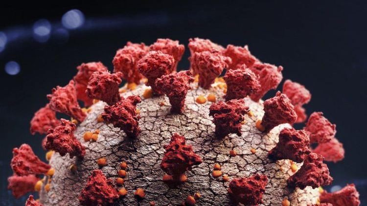 Притеснителната  мутация е възникнала спонтанно в британския вариант на коронавируса