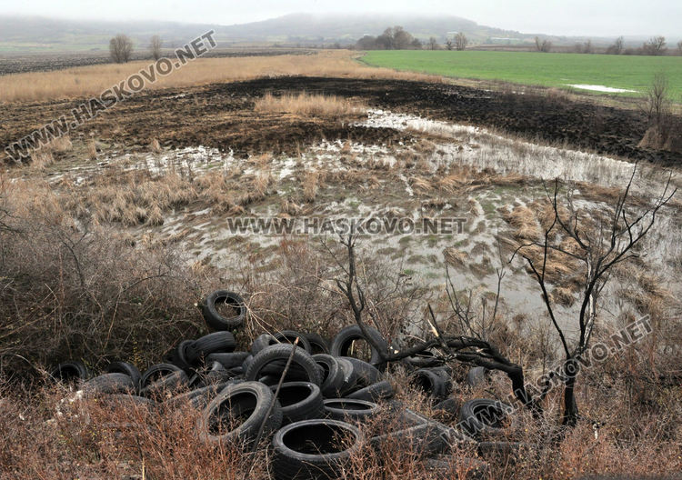 Поредно сметище от стари автомобилни гуми в Хасковско