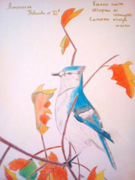 Млади художници от Асеновград с награди от конкурс за детско хайку