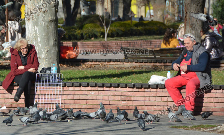 Близо до рекорд, 18.2 градуса достигна температурата в Хасково