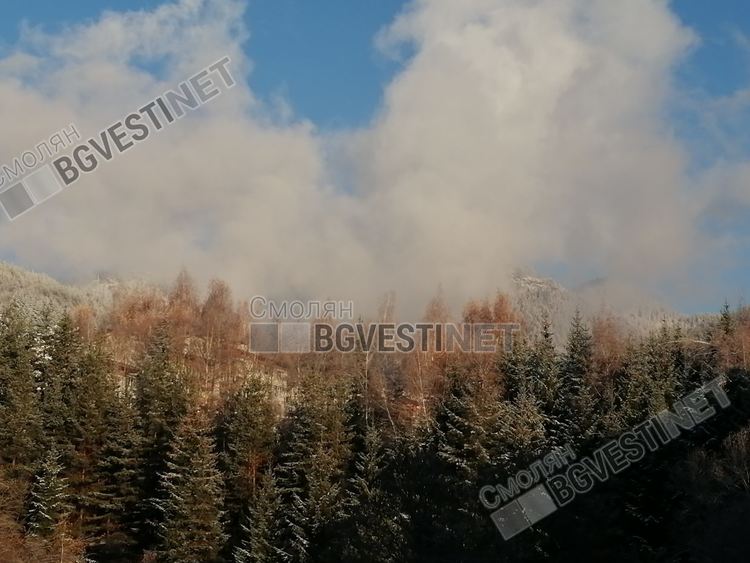 На 5 февруари - топло и слънчево, с умерен западен вятър