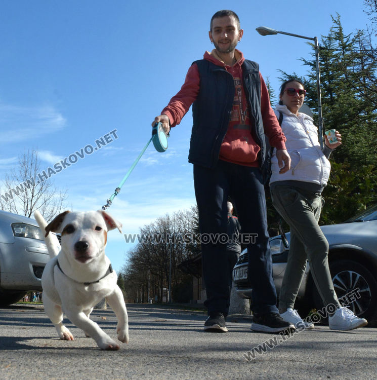 Днес времето ще е подходящо за разходка в парка