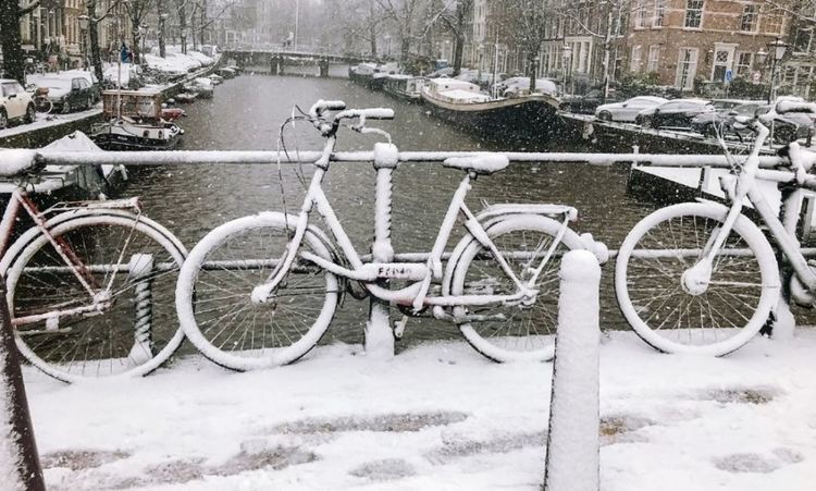 Заради снега в Нидерландия останаха затворени училищата и центровете за тестове за коронавирус