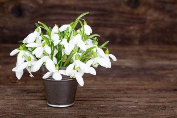 Слънце и пролетни температури