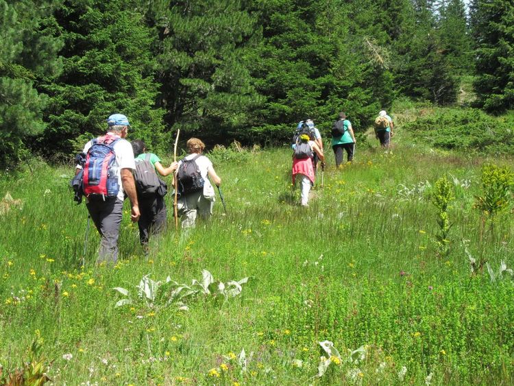 "Траки" избраха нов Управителен съвет и стар председател