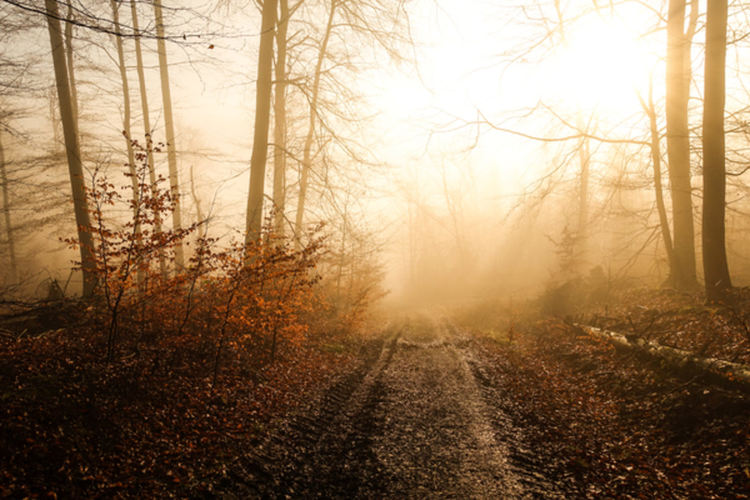 Топло до 18 градуса днес