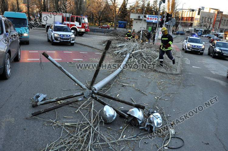 Силният вятър събори топола в Хасково и затвори булеварда край реката