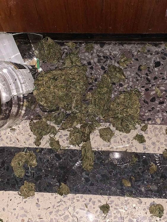 Двама дилъри и техни клиенти са задържани при проверки на полицията в Поповица, Брестовица и Пловдив