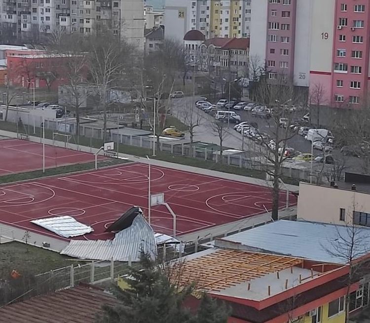 Силен вятър изтръгна тополи край реката в Хасково