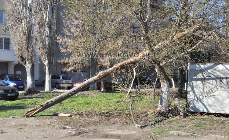 Студено време, с отрицателни средноденонощни температури