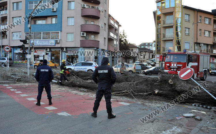 Снимката е илюстративна