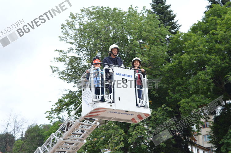 С автостълба отстраниха опасно наклонено дърво в Арда         