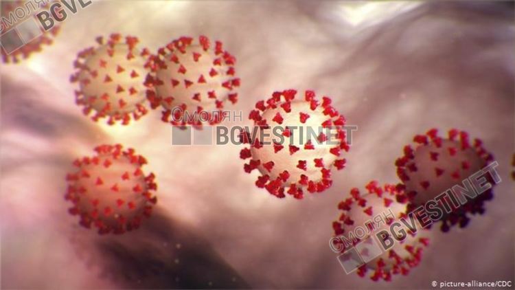 На възраст от 4 до 63 години са новозаразените 13 в областта, 15 деца под карантина