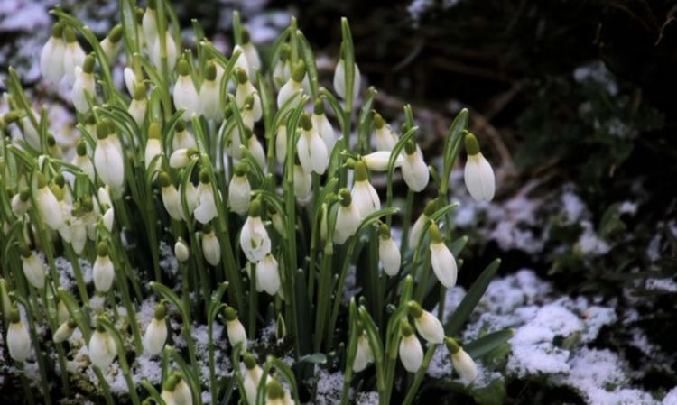 Облачно и топло време