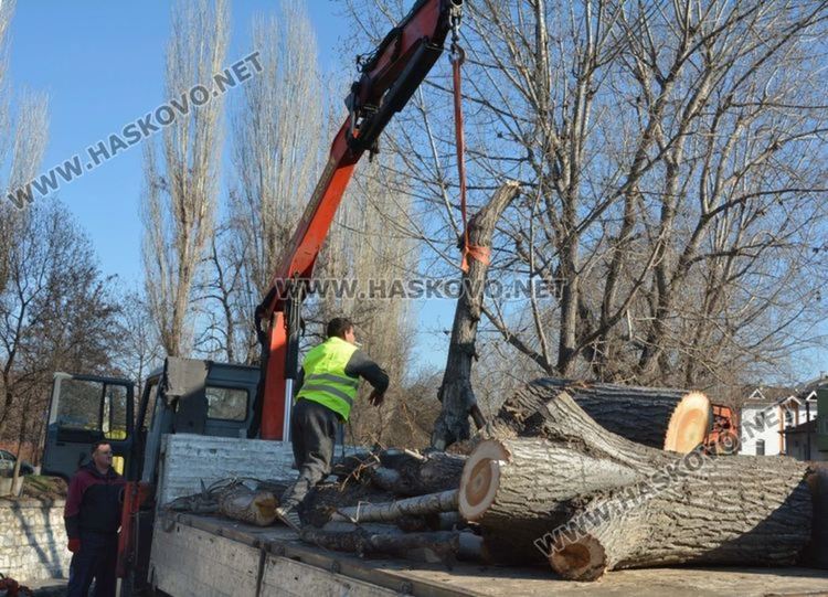  Затварят част от бул. "България“ и няколко улици за санитарна сеч и ремонти