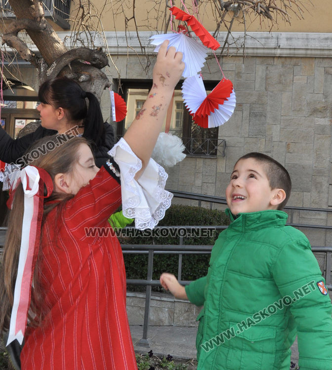 Дърветата по главната на Хасково радват в бяло и червено 