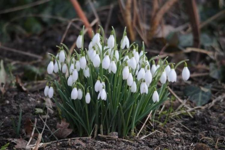 Слънчево и топло