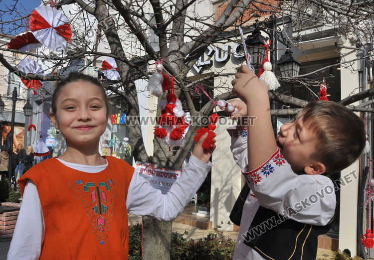 Дърветата по главната на Хасково радват в бяло и червено 