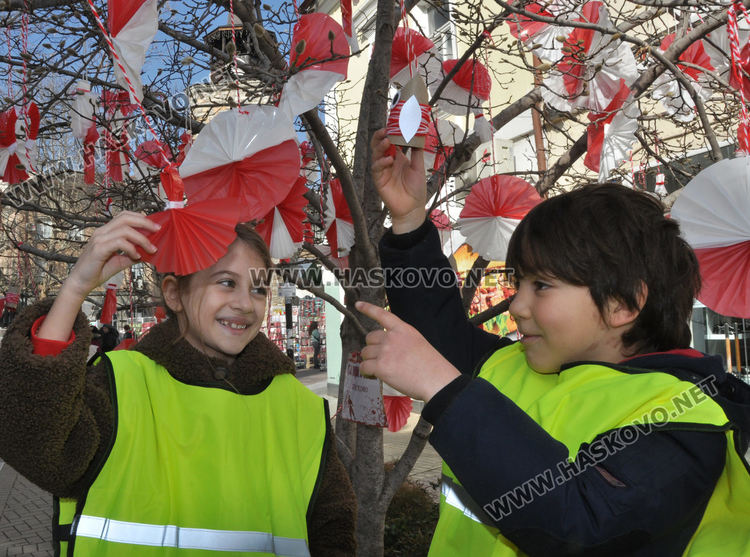 Дърветата по главната на Хасково радват в бяло и червено 