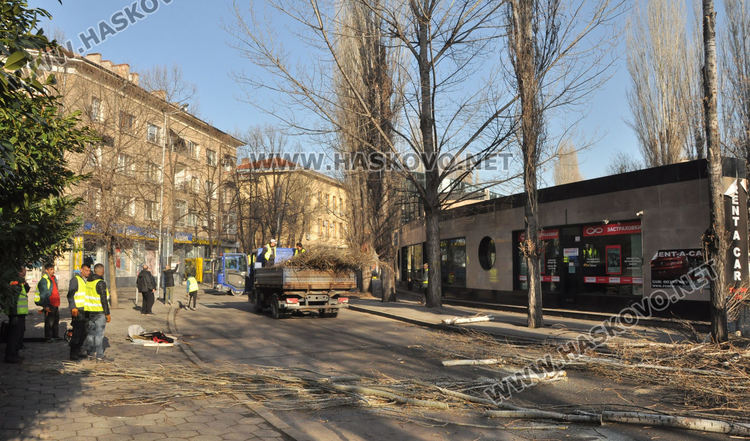 Част от центъра на Хасково е затворен за почистване на шахти и дървета