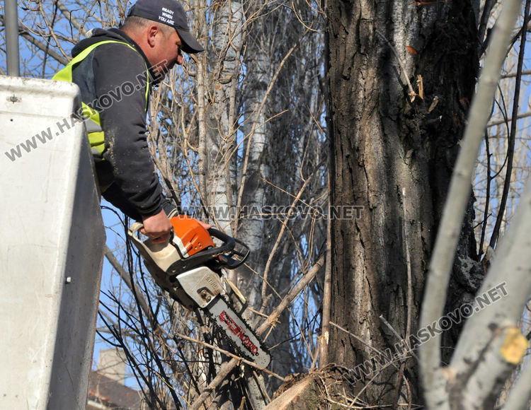 Част от центъра на Хасково е затворен за почистване на шахти и дървета