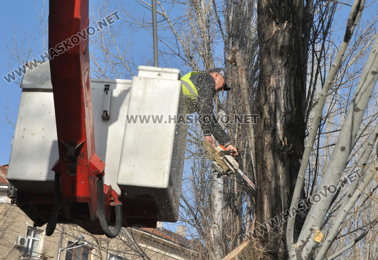 Част от центъра на Хасково е затворен за почистване на шахти и дървета