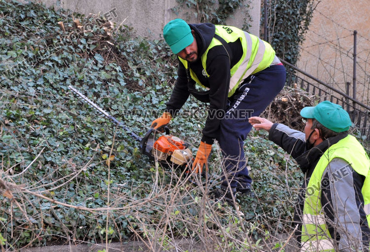 Част от центъра на Хасково е затворен за почистване на шахти и дървета