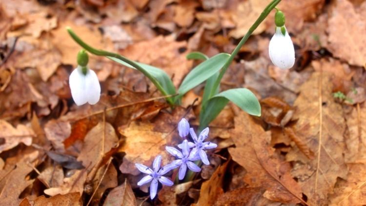 Слънчево и топло днес