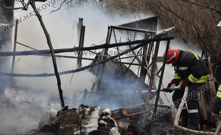Пламна вила в Хасково, стопаните се втурнаха да спасяват кучета