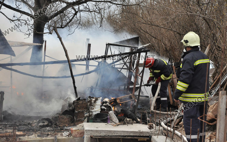 Пламна вила в Хасково, стопаните се втурнаха да спасяват кучета