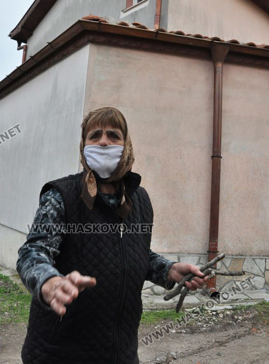 Пламна вила в Хасково, стопаните се втурнаха да спасяват кучета