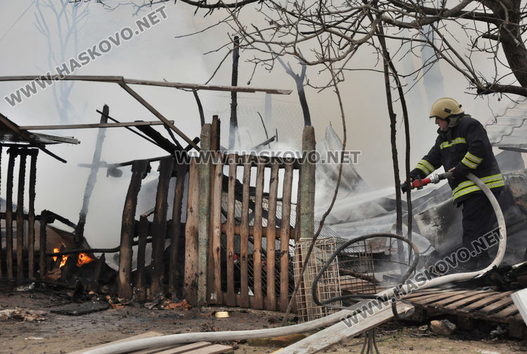 Пламна вила в Хасково, стопаните се втурнаха да спасяват кучета