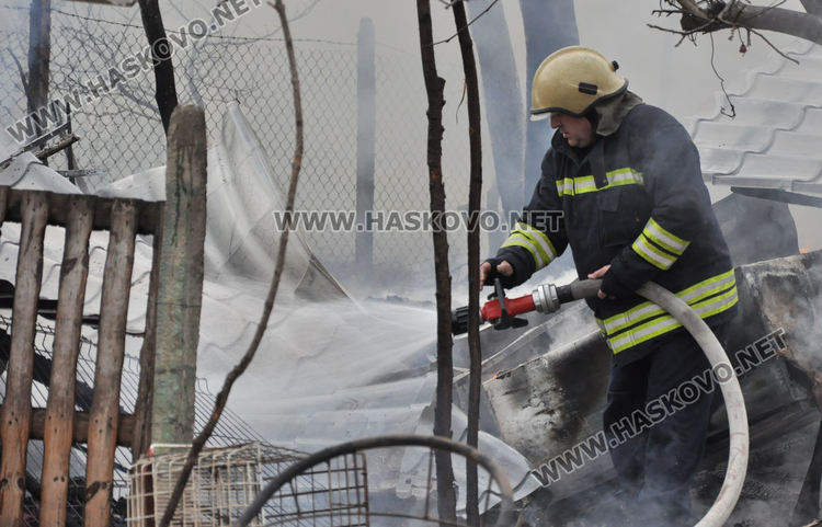 Пламна вила в Хасково, стопаните се втурнаха да спасяват кучета