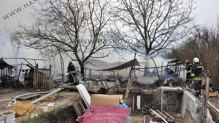 Пламна вила в Хасково, стопаните се втурнаха да спасяват кучета