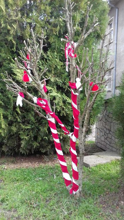 Дървото на Баба Марта в Караджалово