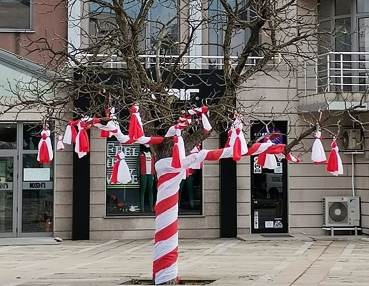 Бабомартенското дърво в Първомай