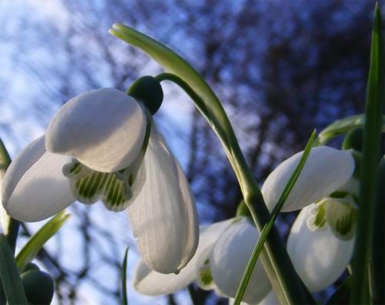 Предимно облачно и топло в събота, следобед – дъжд