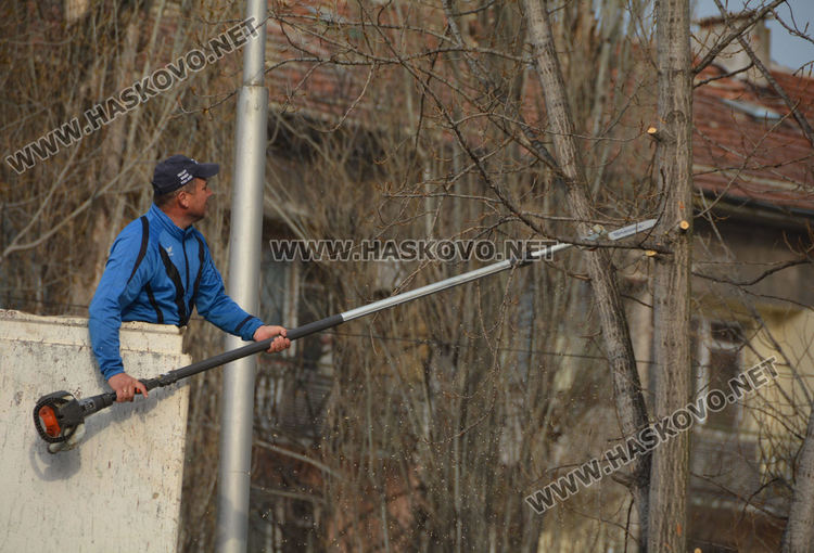 Затвориха булевард „България” край театъра заради резитбата на тополите