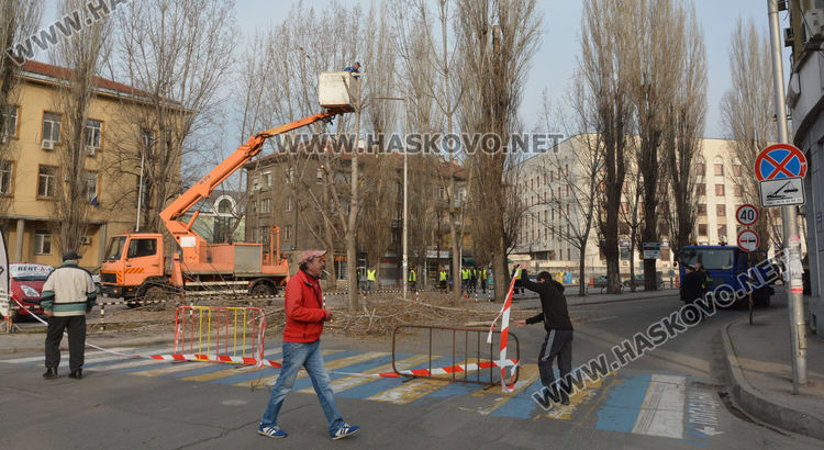 Затвориха булевард „България” край театъра заради резитбата на тополите