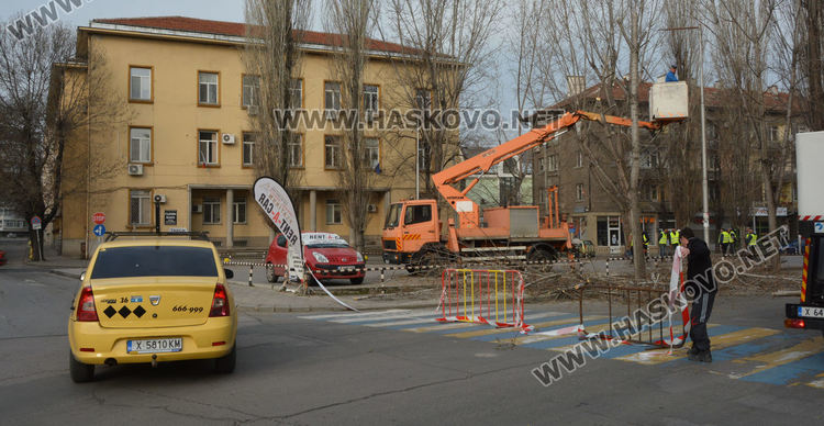 Затвориха булевард „България” край театъра заради резитбата на тополите