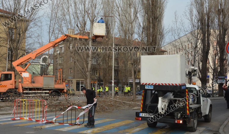 Затвориха булевард „България” край театъра заради резитбата на тополите
