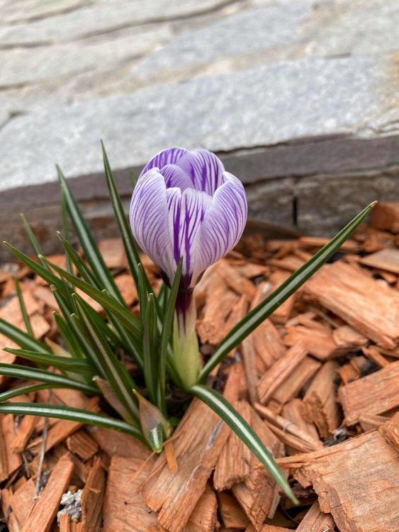 Слънчево и приятно днес