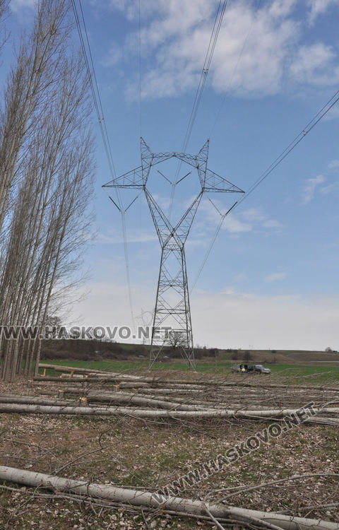 Хасковлия се жалва от сеч на тополи в имота му при изграждане на електропровод