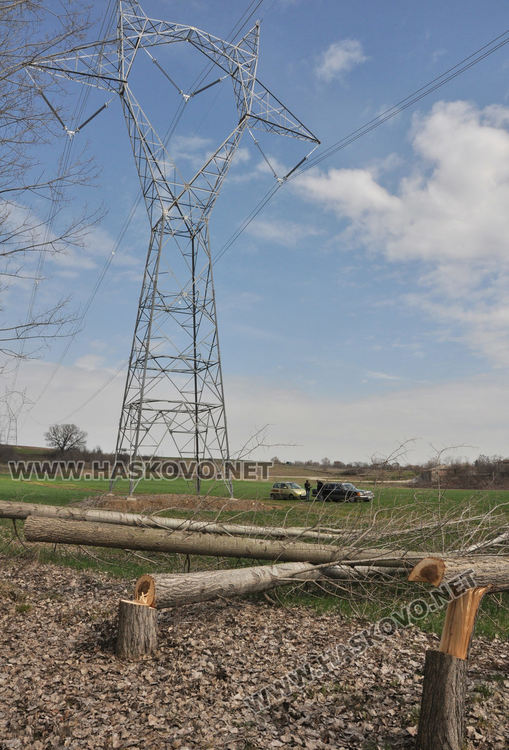 Хасковлия се жалва от сеч на тополи в имота му при изграждане на електропровод