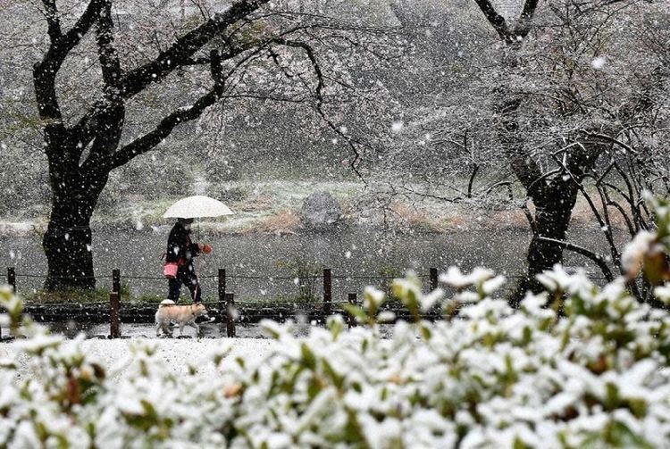 Снежен циклон удря Балканите