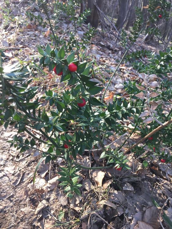 По-студено и ветровито днес, Хасково-извън зоната на валежи с жълт код