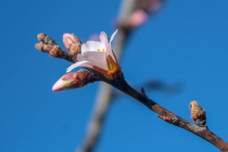 Сн: Нина Серафимова